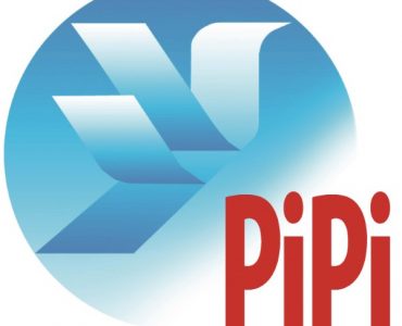 PiPin logo