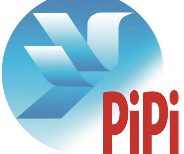 PiPin logo